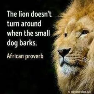 Meet your Posher, Debra